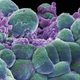 Illustration for article titled Are certain cancer treatments actually making things worse?